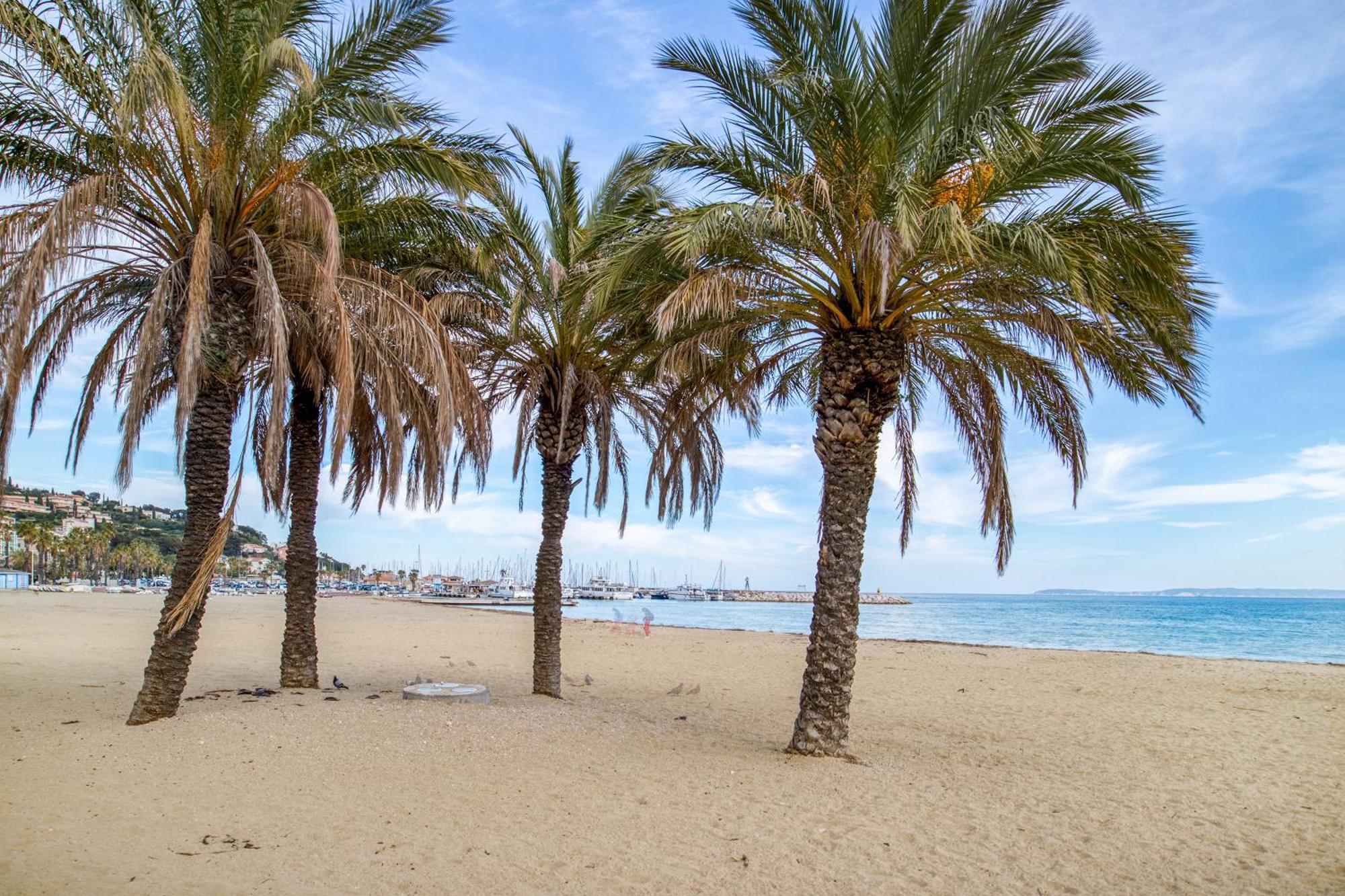 Nouvelle Ere - Appt A Moins D'Un Km De La Plage Le Lavandou Extérieur photo